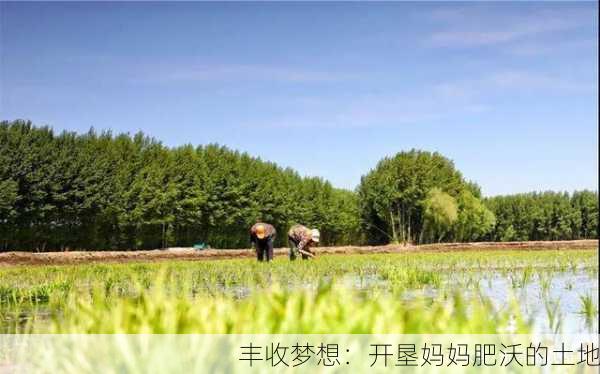 丰收梦想：开垦妈妈肥沃的土地