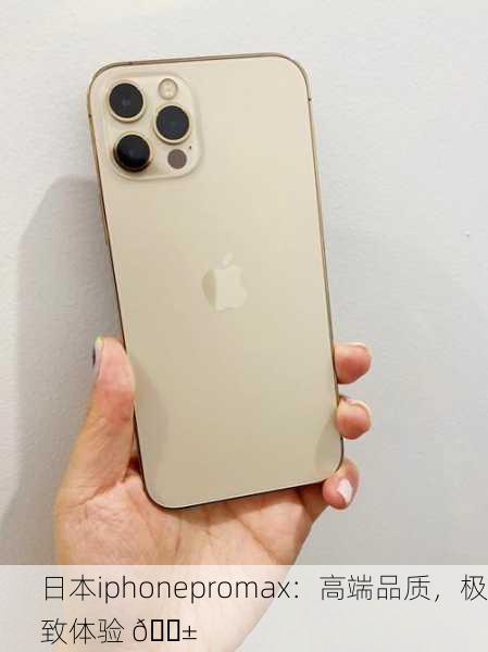 日本iphonepromax：高端品质，极致体验 📱