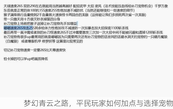 梦幻青云之路，平民玩家如何加点与选择宠物