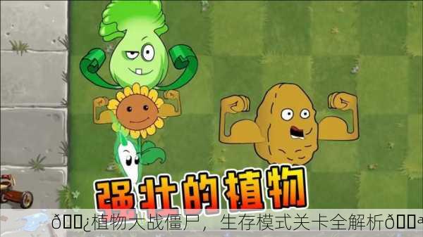 🌿植物大战僵尸，生存模式关卡全解析💪