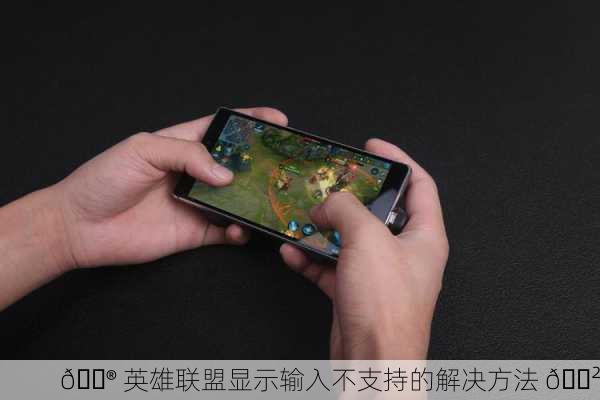 🎮 英雄联盟显示输入不支持的解决方法 🎲