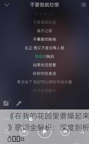 《在我的花园里要燥起来》歌词全解析：深度剖析🎤