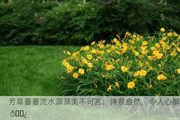 芳草萋萋流水潺潺美不可言：诗意盎然，令人心醉 🌿