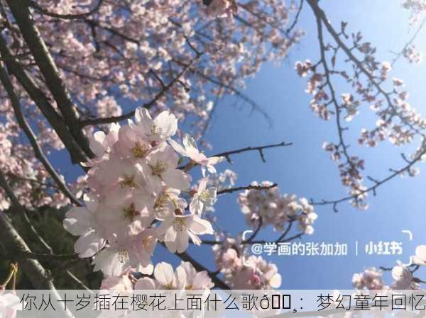 你从十岁插在樱花上面什么歌🌸：梦幻童年回忆