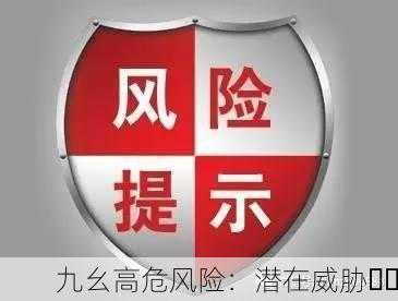 九幺高危风险：潜在威胁⚠️
