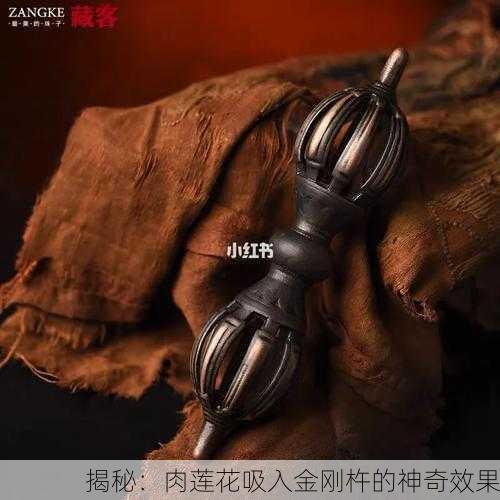 揭秘：肉莲花吸入金刚杵的神奇效果