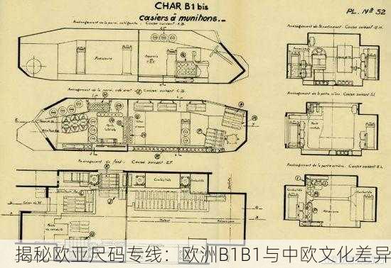 揭秘欧亚尺码专线：欧洲B1B1与中欧文化差异