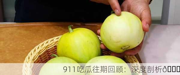911吃瓜往期回顾：深度剖析🍉