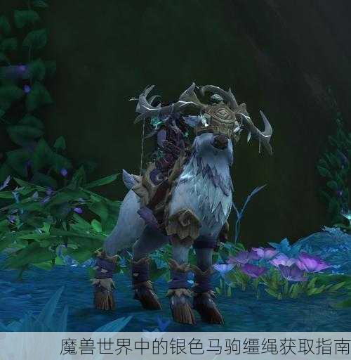 魔兽世界中的银色马驹缰绳获取指南