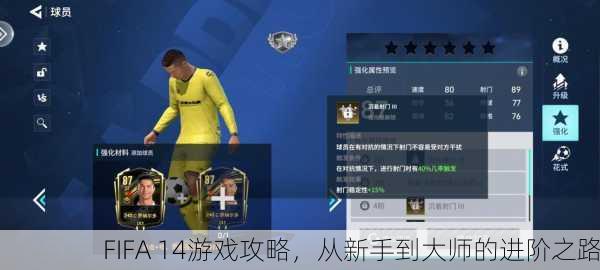 FIFA 14游戏攻略，从新手到大师的进阶之路