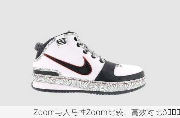 Zoom与人马性Zoom比较：高效对比📊