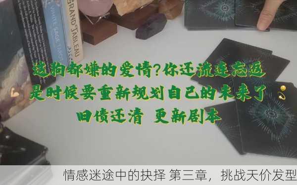 情感迷途中的抉择 第三章，挑战天价发型