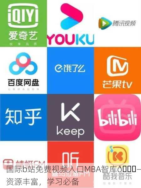 国际b站免费视频入口MBA智库📚—资源丰富，学习必备