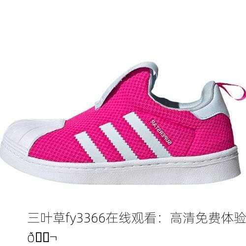 三叶草fy3366在线观看：高清免费体验🎬