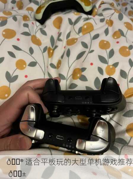 🎮 适合平板玩的大型单机游戏推荐 📱