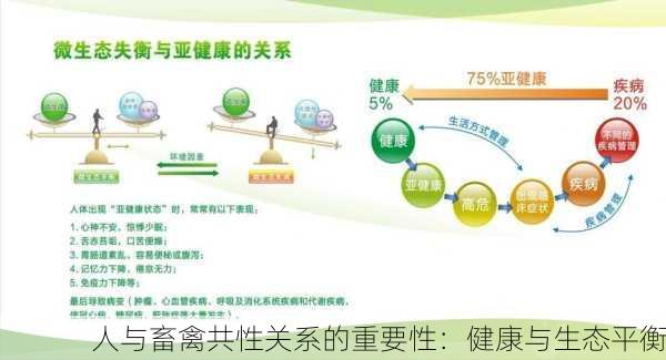人与畜禽共性关系的重要性：健康与生态平衡