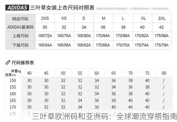 三叶草欧洲码和亚洲码：全球潮流穿搭指南