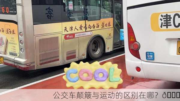 公交车颠簸与运动的区别在哪？🚍