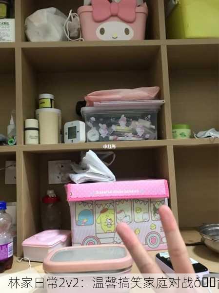 林家日常2v2：温馨搞笑家庭对战🏡