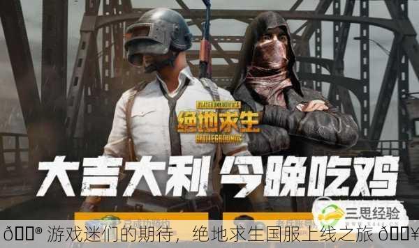 🎮 游戏迷们的期待，绝地求生国服上线之旅 🔥