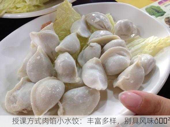 授课方式肉馅小水饺：丰富多样，别具风味🍲