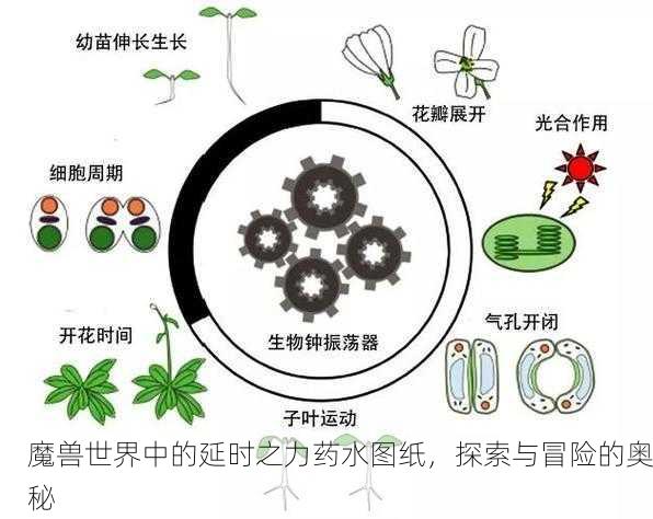 魔兽世界中的延时之力药水图纸，探索与冒险的奥秘
