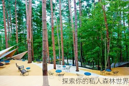 探索你的私人森林世界