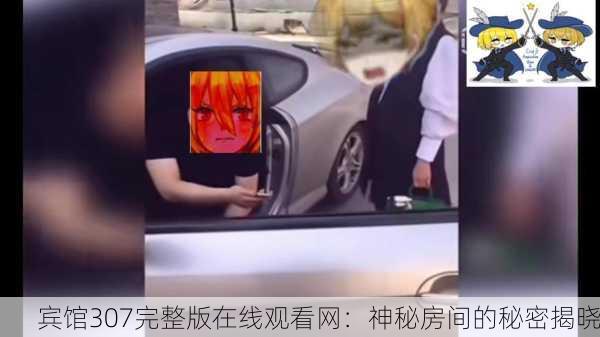 宾馆307完整版在线观看网：神秘房间的秘密揭晓