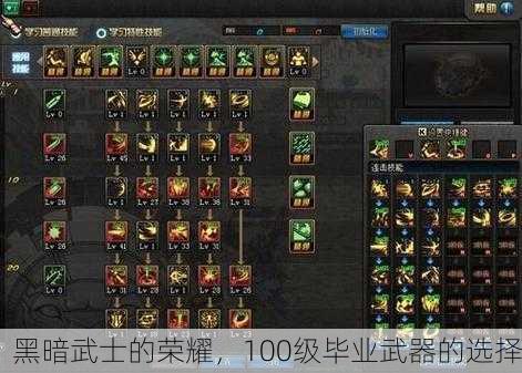 黑暗武士的荣耀，100级毕业武器的选择