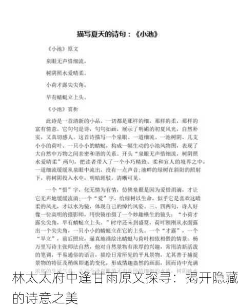 林太太府中逢甘雨原文探寻：揭开隐藏的诗意之美