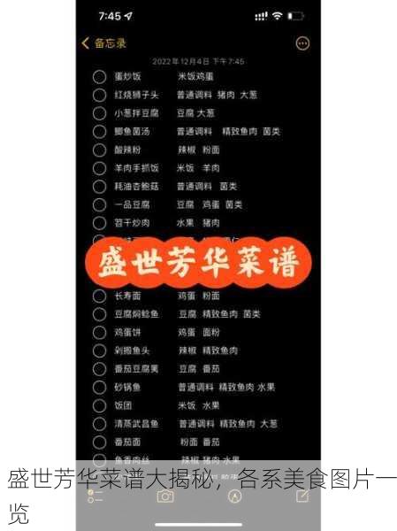 盛世芳华菜谱大揭秘，各系美食图片一览