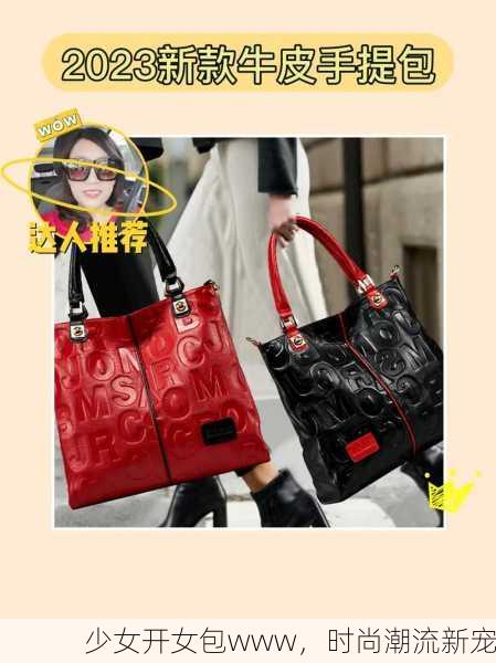 少女开女包www，时尚潮流新宠