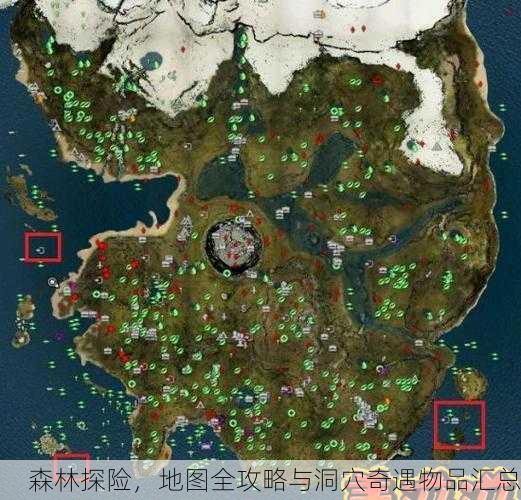 森林探险，地图全攻略与洞穴奇遇物品汇总