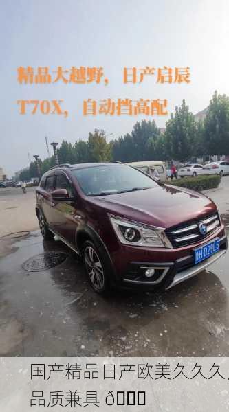 国产精品日产欧美久久久，品质兼具 🌟