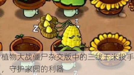 植物大战僵尸杂交版中的三线玉米投手，守护家园的利器