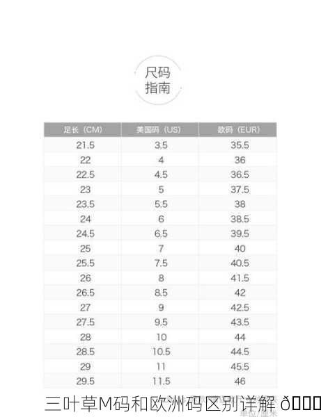 三叶草M码和欧洲码区别详解 🌟