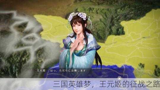 三国英雄梦，王元姬的征战之路