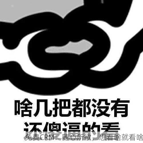免费CRM：随心所欲，想看啥就看啥