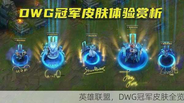英雄联盟，DWG冠军皮肤全览