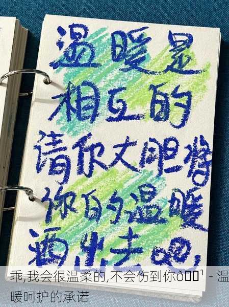 乖,我会很温柔的,不会伤到你🌹 - 温暖呵护的承诺