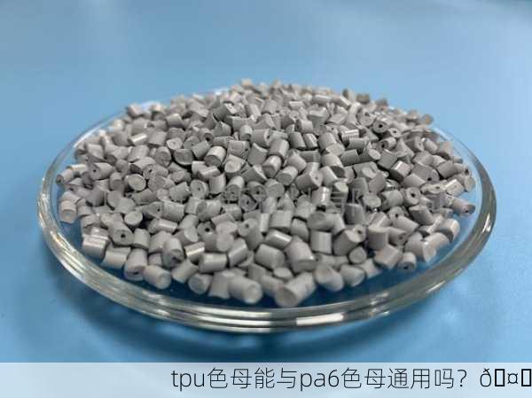 tpu色母能与pa6色母通用吗？🤔
