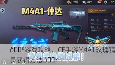 🎮游戏攻略，CF手游M4A1玫瑰精灵获得方法🔥