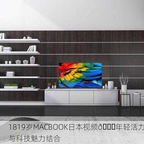 1819岁MACBOOK日本视频🔍年轻活力与科技魅力结合
