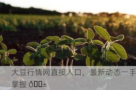 大豆行情网直接入口，最新动态一手掌握 🌱