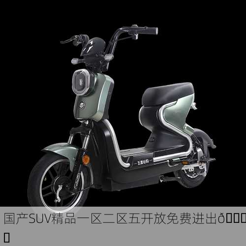 国产SUV精品一区二区五开放免费进出🚗✨