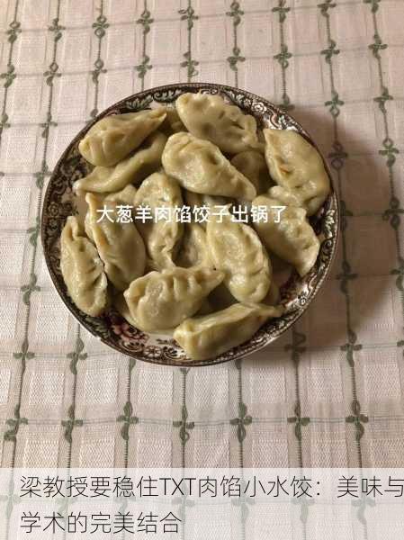 梁教授要稳住TXT肉馅小水饺：美味与学术的完美结合