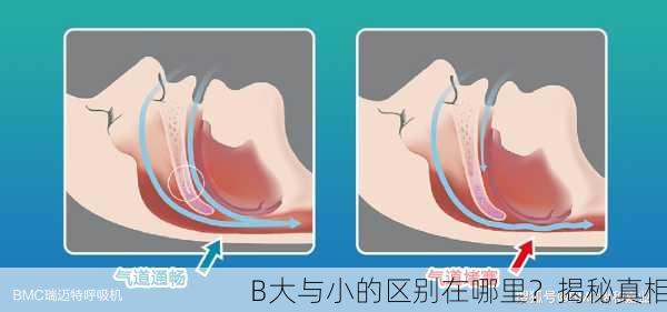 B大与小的区别在哪里？揭秘真相