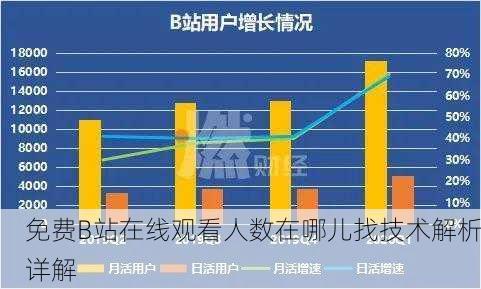免费B站在线观看人数在哪儿找技术解析详解