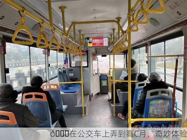 🚍在公交车上弄到高C月，奇妙体验