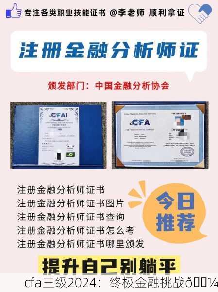 cfa三级2024：终极金融挑战💼